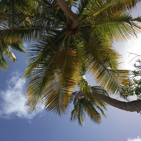 Villa Des Amandiers Les Anses-d'Arlets Exteriér fotografie
